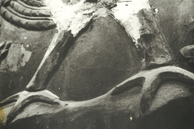 Krajská knihovna v Pardubicích, dům č. p. 78, detail - pštros, 1955